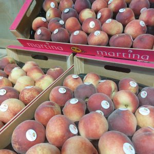 Nectarine blanche