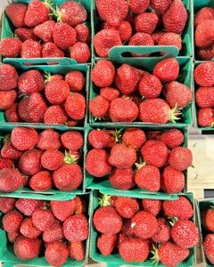 Fraise Burban La Baule - 250 g