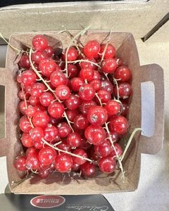 Groseille barquette - 125g