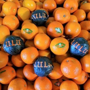 Clémentine Lulu
