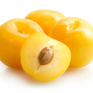 Prune Jaune TC Sun