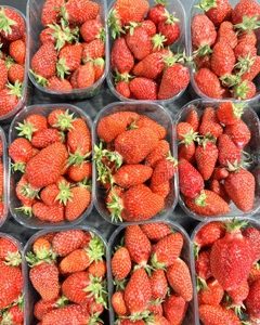 Fraise Guariguette - 250 g