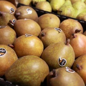 Poire Comice