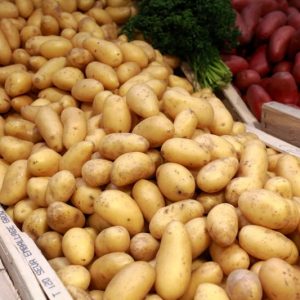 PDT Mitraille Nouvelle Charlotte (Pomme de terre de consommation)