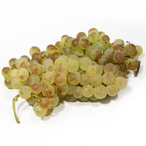 Raisin Chasselas AOP (Raisin de table)
