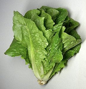 Romaine (Sachet 2 pièces)